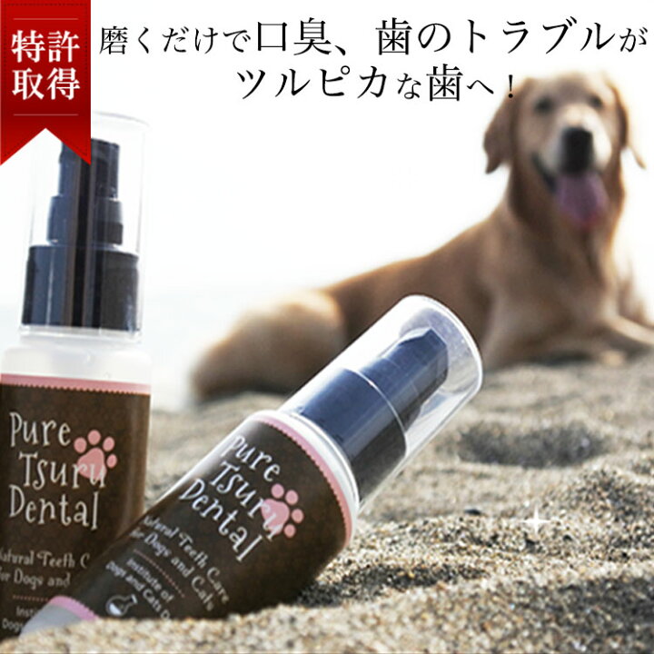 楽天市場 犬 デンタルケア わんこの 犬 歯石除去 歯垢 犬 歯石取り 猫 歯石取り 犬 口臭 犬 歯磨き粉 歯磨きジェル 猫 無添加 口臭予防 安心 安全な100 天然由来 歯磨きジェル ピュアツルデンタル 60m 犬猫博士の研究所