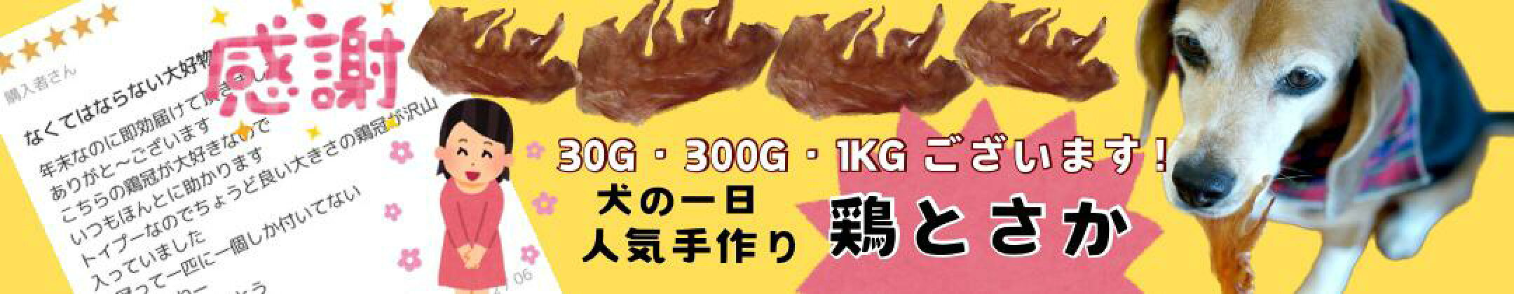 犬の一日定番人気！カミカミ楽しめる★ヒアルロン酸おやつ★