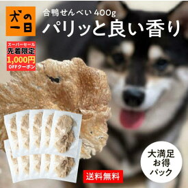 犬 おやつ 無添加 国産 合鴨せんべい 400g（40g×10袋） 送料無料 まとめ買い アレルギー 犬のおやつ 犬用おやつ 無着色 パピー シニア 子犬 成犬 老犬 小型犬 大型犬 ペット 犬の一日 inunoichinichi【ラン1】