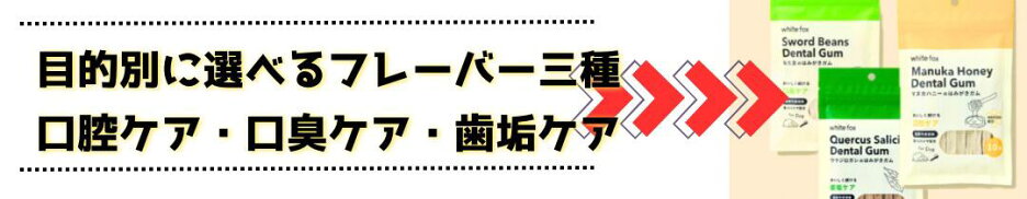 歯磨きガム