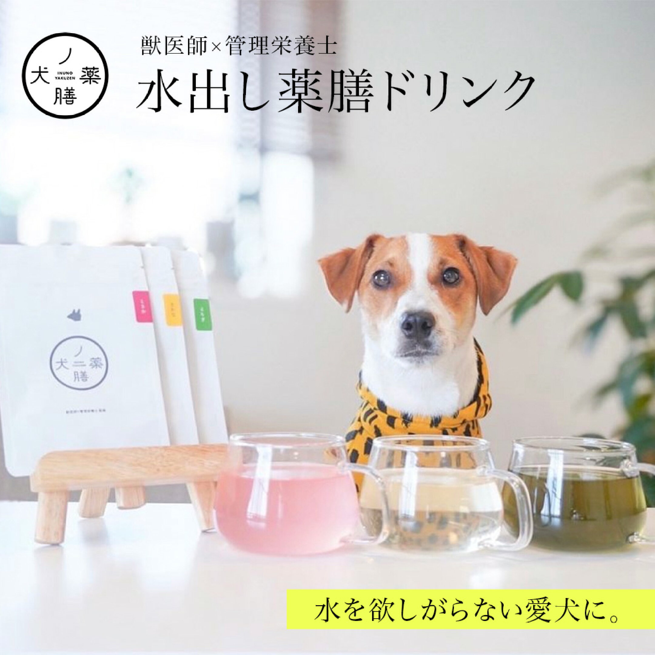 ＜犬ノ薬膳＞水を飲まないワンちゃんに。薬膳の成分でサポートも