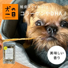 犬 おやつ 無添加 国産 鮭皮スライス 20g コラーゲン DHA 鮭皮 アレルギー 犬のおやつ 犬用おやつ 無着色 パピー シニア 子犬 成犬 老犬 小型犬 大型犬 ペット 犬の一日 inunoichinichi