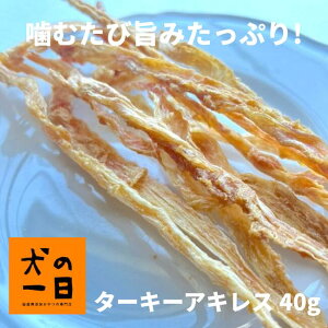   Y Y ^[L[ALX 40g 悢dŐlC̃J~J~IAM[ ̂ p F q  V ^ ^ ybg ̈ inunoichinichi