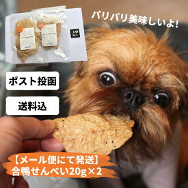 犬 おやつ 無添加 国産 合鴨せんべい 20g×2 【メール便でお届け】 幼犬 シニア犬 犬用 煎餅 せんべい アレルギー 犬のおやつ 犬用おやつ 無着色 パピー シニア 子犬 成犬 老犬 小型犬 大型犬 ペット 犬の一日 inunoichinichi【ラン1】