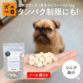 犬 おやつ 無添加 国産 玄米クランチ 12g（元ちゃんファーム）化学農薬、化学肥料不使用、自家製の植物性肥料を使用！ タンパク質制限 玄米 腎臓 肝臓 ケア 歯がない アレルギー 犬のおやつ 犬用おやつ 無着色 パピー シニア 子犬 成犬 老犬 ペット 犬の一日 inunoichinichi