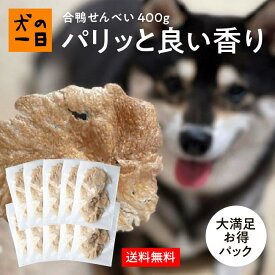 【10%オフ×P2倍ワンダフルデー_6/1日限定】送料無料 合鴨せんべい 400g（40g×10袋）犬 おやつ 無添加 犬の一日 手作り 犬おやつ まとめ買い お得 当店自慢 幼犬 シニア犬 完全無添加【ラン1】