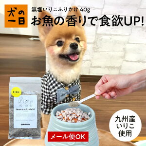  ӂ肩 Y Y 肱ӂ肩 40g gbsO 肱 AM[ ̂ p F ps[ VjA q  V ^ ^ ybg ̈ inunoichinichi