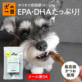 犬 おやつ 無添加 国産 カリカリ宗田節（小）40g カツオ節 カツオ 節 かつお節 かつお カツオ 節 かつお節 国産（高知県） 魚 犬の一日 nekonoichinichi