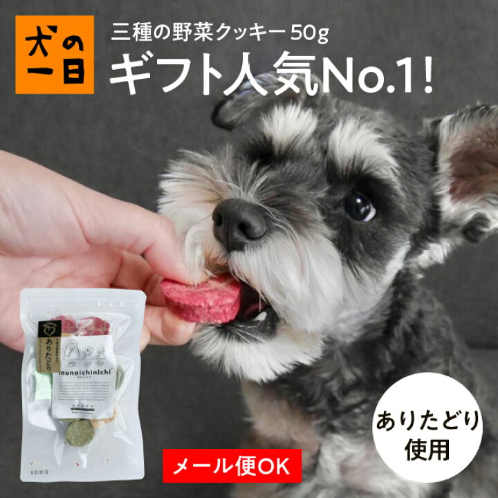 楽天市場 おやつサンプル付 九州産 三種の野菜クッキー50g ありたどり 犬 おやつ 無添加 国産 犬の一日 手作り 犬おやつ 国産無添加 九州産 野菜パウダー 小麦粉フリー 野菜 クッキー お菓子 犬用 おうち時間 ペット ペット用品 犬の一日