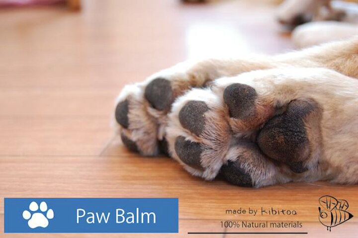 楽天市場 Paw Balm 福岡県糸島産 肉球クリーム スティック 100 天然成分でパートナーの肉球をやさしくケア みつろう オーガニックオイル 肉球バーム パウバーム シアバター 犬 ケア用品 おうち時間 ペット ペット用品 犬の一日