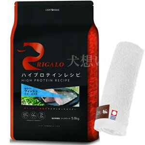 yzK nCveCVs qp tBbV 5.8kgyzIWinh^Iv[gzy^IJ[ zCgz