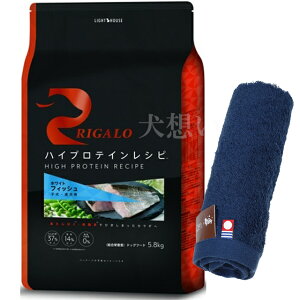 yzK nCveCVs qp tBbV 5.8kgyzIWinh^Iv[gzy^IJ[ lCr[z