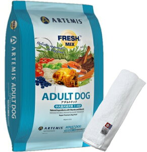 yv[gtzyzA[e~X tbV~bNX A_ghbO 6kgyzIWinh^IZbgzy^IJ[ zCgzyKiz