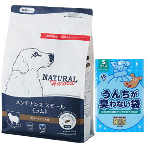 yzi`n[xXg eiXX[  1.1kgyBOS񂿂LȂ܃v[gz