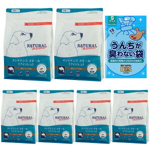 yzi`n[xXg eiXX[ tBbV 1.1kg 6܁yBOS񂿂LȂ܃v[gz