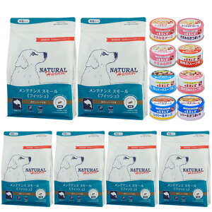 yzi`n[xXg eiXX[ tBbV 1.1kg 6܁yfrt85gʋl 1ʃv[gz