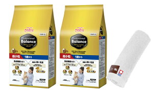 yzvtFbVi oX  1΂ 2.4kg 2Zbg yzIWinh^IZbgzy^IJ[ zCgz