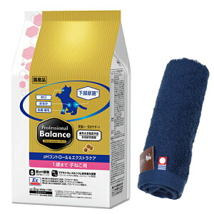 yzvtFbVi oXpHRg[GNXgPA 1΂܂ q˂p 2kg yzIWinh^IZbgzy^IJ[ lCr[z