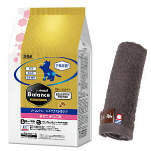 yzvtFbVi oXpHRg[GNXgPA 1΂܂ q˂p 2kg yzIWinh^IZbgzy^IJ[ Jz