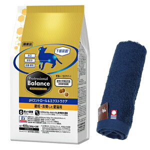 yzvtFbVi oXpHRg[GNXgPA D Lp 2kg yzIWinh^IZbgzy^IJ[ lCr[z