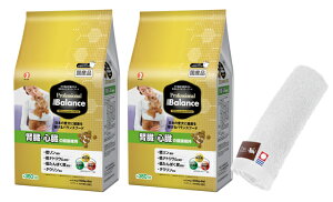 yzvtFbVi oX t ŠNێ 2.4kg 2ZbgyzIWinh^IZbgzy^IJ[ zCgz