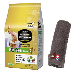 yzvtFbVi oX t ŠNێ 2.4kgyzIWinh^Iv[gzy^IJ[ Jz