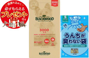 yv[gtzyzyBOS 񂿂LȂܕtzubNEbh 3000 2.7kg