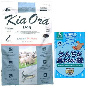 yzLA I hbOt[h &T[ 5kgyzIWiZbgzyBOS 񂿂LȂܕtz