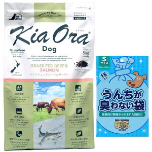 yzLA I hbOt[h OXtFbhr[tT[ 5kgyzIWiZbgzyBOS 񂿂LȂܕtz