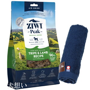 yzWEBs[N (ZIWI) GAhC hbOt[h gCv 454gyzIWinh^Iv[gzy^IJ[ lCr[z