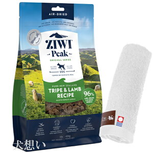 yzWEBs[N (ZIWI) GAhC hbOt[h gCv 454gyzIWinh^Iv[gzy^IJ[ zCgz