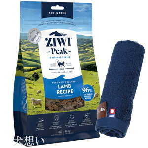 yzWEBs[N (ZIWI) GAhC Lbgt[h  400gyzIWinh^Iv[gzy^IJ[ lCr[z