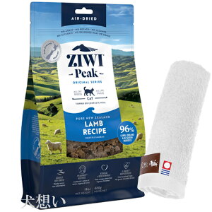 yzWEBs[N (ZIWI) GAhC Lbgt[h  400gyzIWinh^Iv[gzy^IJ[ zCgz