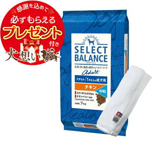 yv[gtzyzZNgoX A_g `L  1ˈȏ̐p 7kgyzIWinh^IZbgzy^IJ[ zCgzyKiz