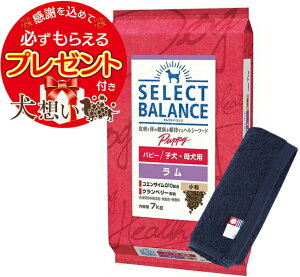 yv[gtzyzZNgoX ps[   qEꌢp 7kgyzIWinh^IZbgzy^IJ[ lCr[zyKiz