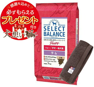 yv[gtzyzZNgoX ps[   qEꌢp 7kgyzIWinh^IZbgzy^IJ[ JzyKiz