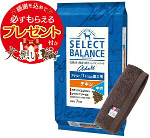 yv[gtzyzZNgoX A_g `L  1ˈȏ̐p 7kgyzIWinh^IZbgzy^IJ[ JzyKiz