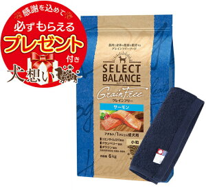 yzZNgoX OCt[ A_gT[  6kgyzIWinh^IZbgzy^IJ[ lCr[zyKiz