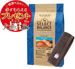 yzZNgoX OCt[ A_gT[  6kgyzIWinh^IZbgzy^IJ[ JzyKiz