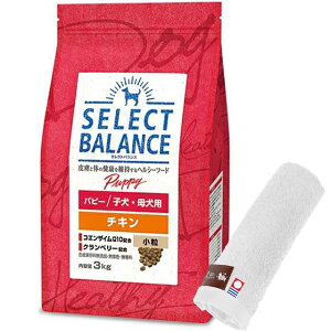 yzZNgoX ps[ `L  qEꌢp 3kgyzIWinh^IZbgzy^IJ[ zCgz