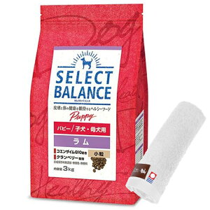 yzZNgoX ps[   qEꌢp 3kgyzIWinh^IZbgzy^IJ[ zCgz