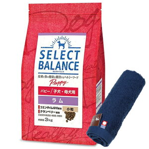 yzZNgoX ps[   qEꌢp 3kgyzIWinh^IZbgzy^IJ[ lCr[z