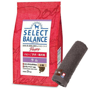 yzZNgoX ps[   qEꌢp 3kgyzIWinh^IZbgzy^IJ[ Jz