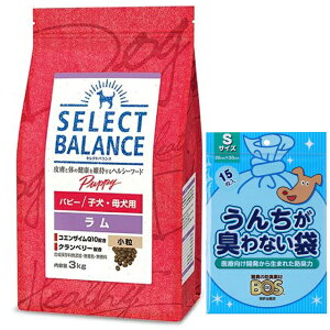 yzZNgoX ps[   qEꌢp 3kgyzIWiZbgzyBOS 񂿂LȂܕtz