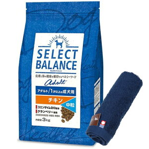 yzZNgoX A_g `L  1ˈȏ̐p 3kgyzIWinh^IZbgzy^IJ[ lCr[z