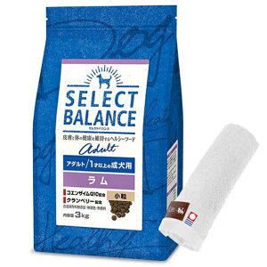 yzZNgoX A_g   1ˈȏ̐p 3kgyzIWinh^IZbgzy^IJ[ zCgz