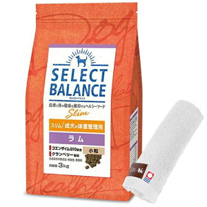 yzZNgoX X   ̑̏dǗp 3kgyzIWinh^IZbgzy^IJ[ zCgz