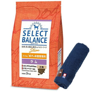 yzZNgoX X   ̑̏dǗp 3kgyzIWinh^IZbgzy^IJ[ lCr[z