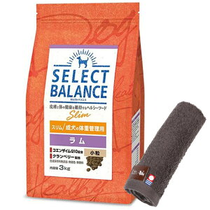 yzZNgoX X   ̑̏dǗp 3kgyzIWinh^IZbgzy^IJ[ Jz