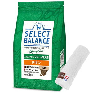 yzZNgoX GCWOPA `L  7ˈȏ̐p 3kgyzIWinh^IZbgzy^IJ[ zCgz